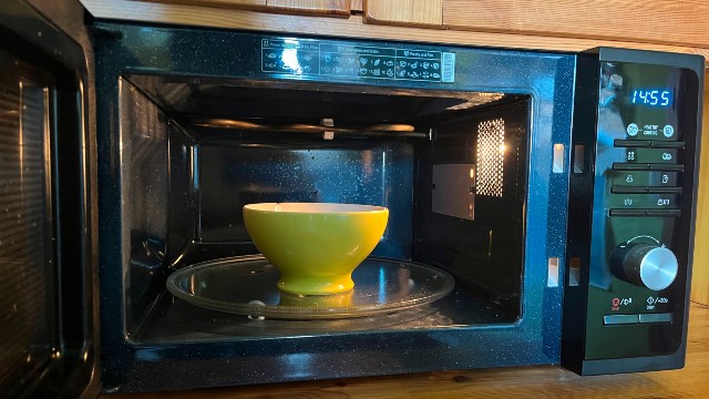 microwave-turntable-break